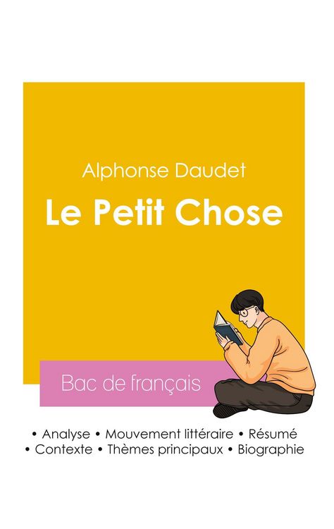 Produktbild: R&eacute;ussir son Bac de fran&ccedil;ais 2026 : Analyse du roman Le Petit Chose de Alphonse Daudet