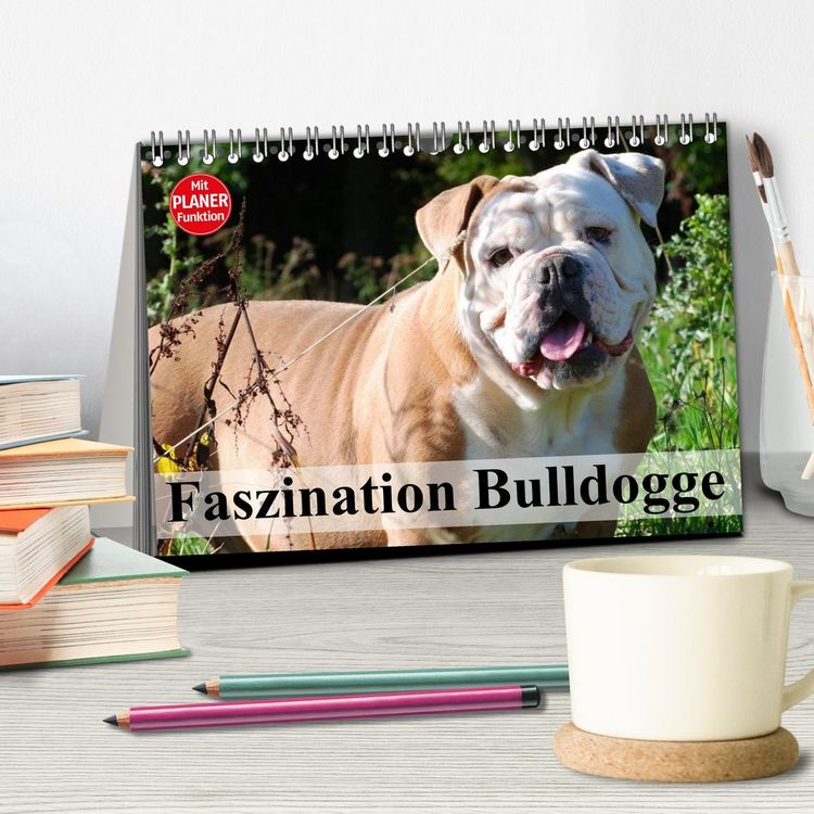 Produktbild: Faszination Bulldogge (Tischkalender 2026 DIN A5 quer), CALVENDO Monatskalender