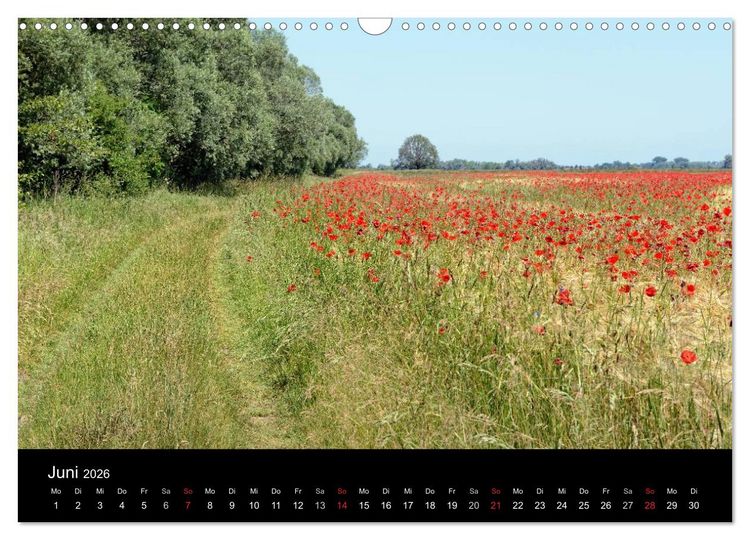 Produktbild: Vier Jahreszeiten im Havelland (Wandkalender 2026 DIN A3 quer), CALVENDO Monatskalender