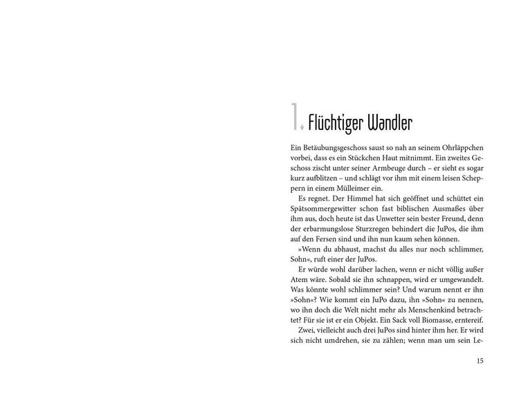 Produktbild: Vollendet - Die Wahrheit