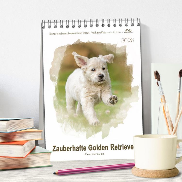 Produktbild: Zauberhafte Golden Retriever (Tischkalender 2026 DIN A5 hoch), CALVENDO Monatskalender