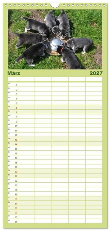Produktbild: Familienplaner 2027 - Husky Welpen mit 5 Spalten (Wandkalender, 21 x 45 cm) CALVENDO
