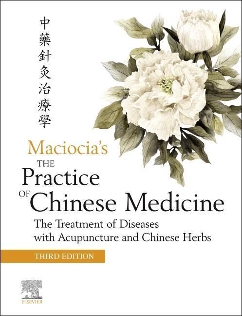 Produktbild: The Practice of Chinese Medicine