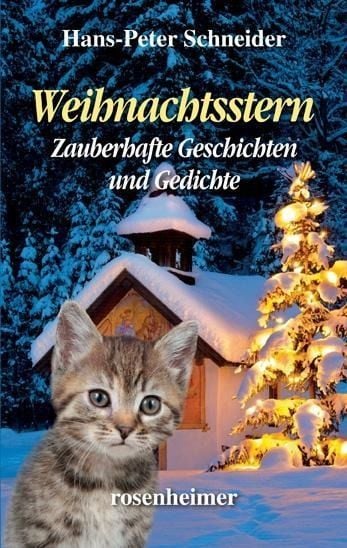 Produktbild: Schneider, H: Weihnachtsstern