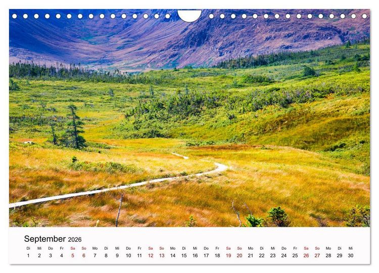 Produktbild: Neufundland - wilde Sch&ouml;nheit im Atlantik (Wandkalender 2026 DIN A4 quer), CALVENDO Monatskalender