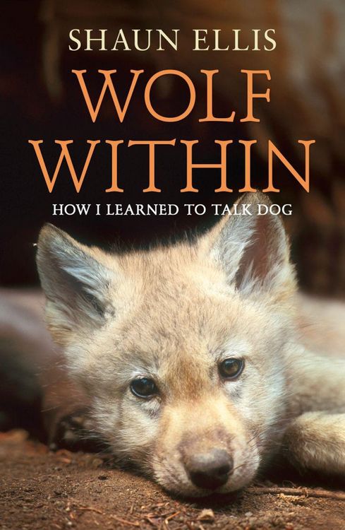 Produktbild: The Wolf Within