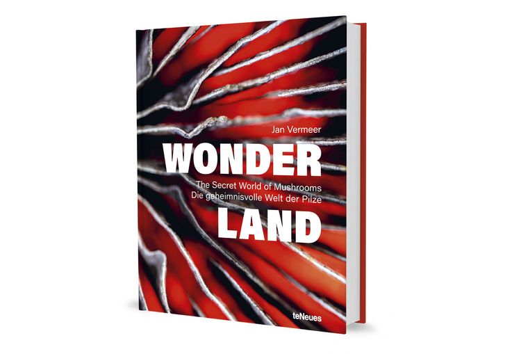 Produktbild: Wonderland