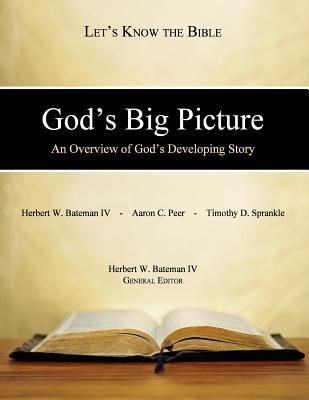 Produktbild: God's Big Picture: An Overview of God's Developing Story