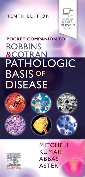 Produktbild: Pocket Companion to Robbins & Cotran Pathologic Basis of Disease