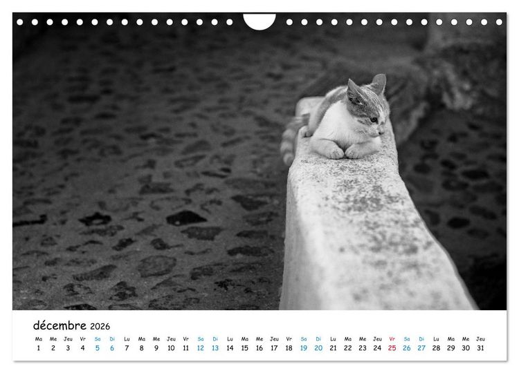 Produktbild: Chats de Santorin - Les princes d'Oia en noir et blanc (Calendrier mural 2026 DIN A4 vertical), CALVENDO calendrier mensuel