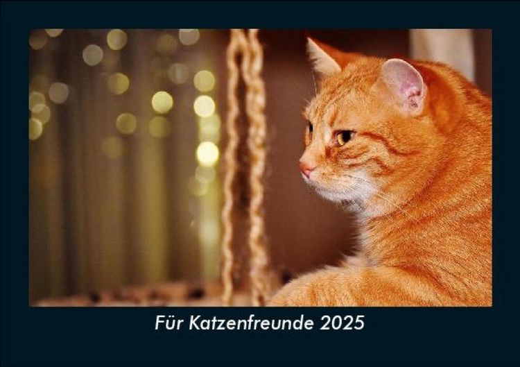 Produktbild: F&uuml;r Katzenfreunde 2025 Fotokalender DIN A5