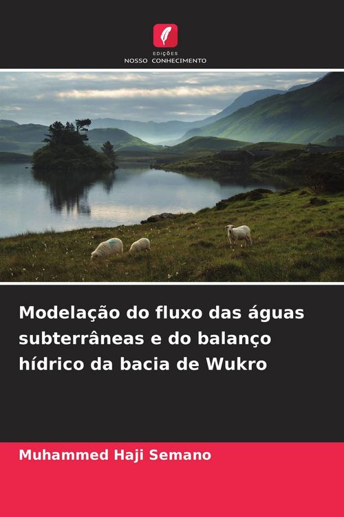 Produktbild: Modela&ccedil;&atilde;o do fluxo das &aacute;guas subterr&acirc;neas e do balan&ccedil;o h&iacute;drico da bacia de Wukro