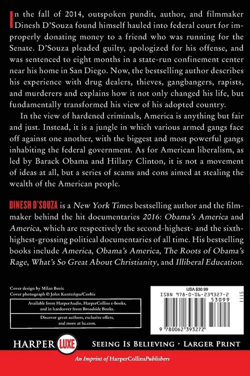 Produktbild: Stealing America
