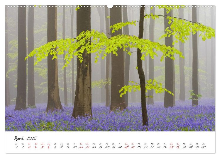 Produktbild: Im Atem der B&auml;ume (Wandkalender 2026 DIN A2 quer), CALVENDO Monatskalender