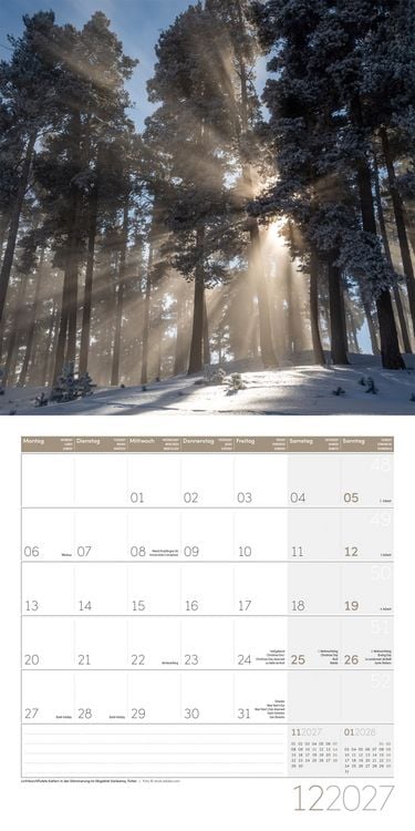 Produktbild: Zauber des Waldes Kalender 2027 - 30x30 - Art12
