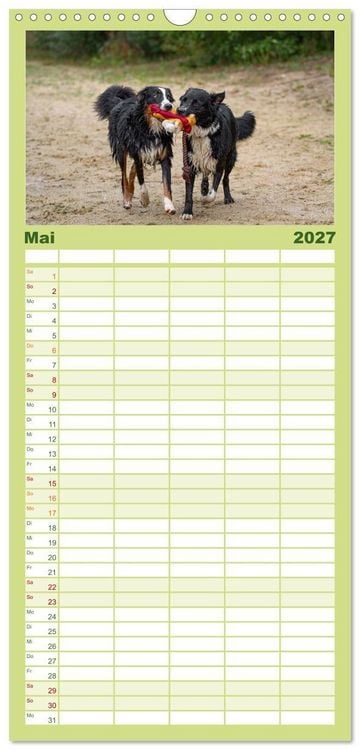 Produktbild: Familienplaner 2027 - Hunde Action mit 5 Spalten (Wandkalender, 21 x 45 cm) CALVENDO
