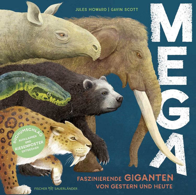Produktbild: MEGA