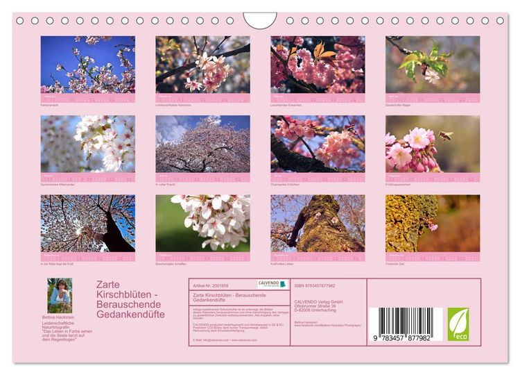 Produktbild: Zarte Kirschbl&uuml;ten - Berauschende Gedankend&uuml;fte (Wandkalender 2026 DIN A4 quer), CALVENDO Monatskalender