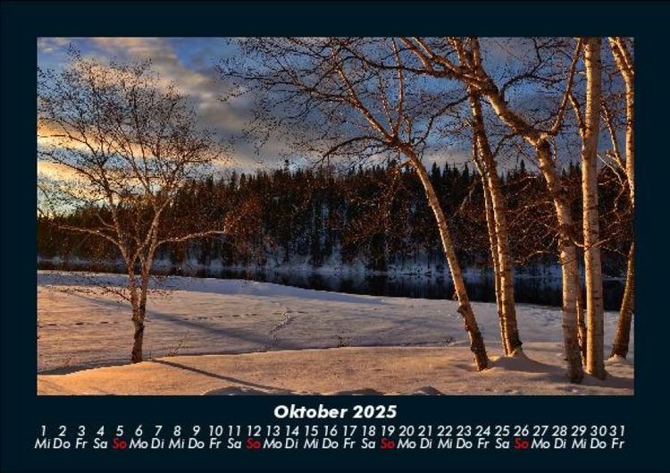 Produktbild: B&auml;ume 2025 Fotokalender DIN A5