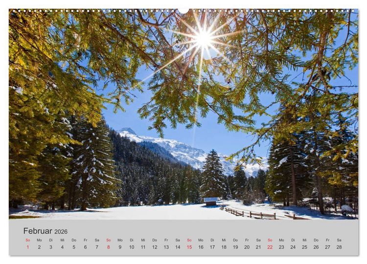 Produktbild: Komm, ich zeige dir den Wald (Wandkalender 2026 DIN A2 quer), CALVENDO Monatskalender