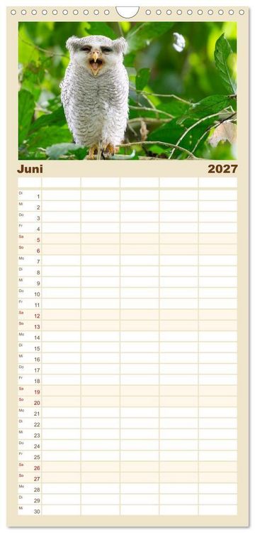 Produktbild: Familienplaner 2027 - Zwischen Nebel und Baumriesen - V&ouml;gel Borneos mit 5 Spalten (Wandkalender, 21 x 45 cm) CALVENDO