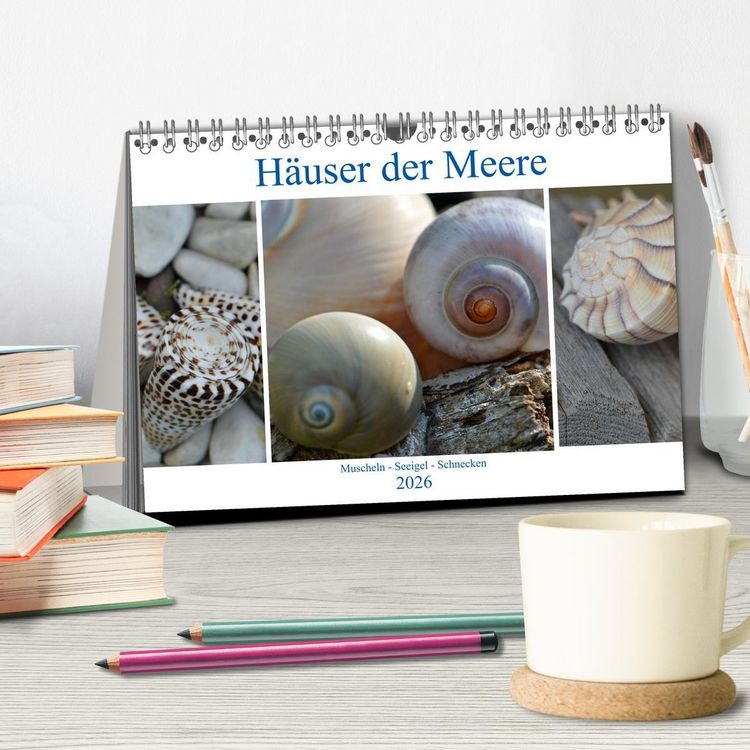 Produktbild: H&auml;user der Meere: Muscheln - Seeigel - Schnecken (Tischkalender 2026 DIN A5 quer), CALVENDO Monatskalender