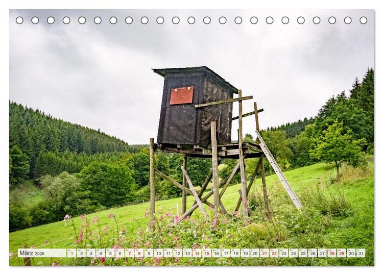 Produktbild: Nationalpark Eifel - Sch&ouml;ne Tage im Gr&uuml;nen (Tischkalender 2026 DIN A5 quer), CALVENDO Monatskalender