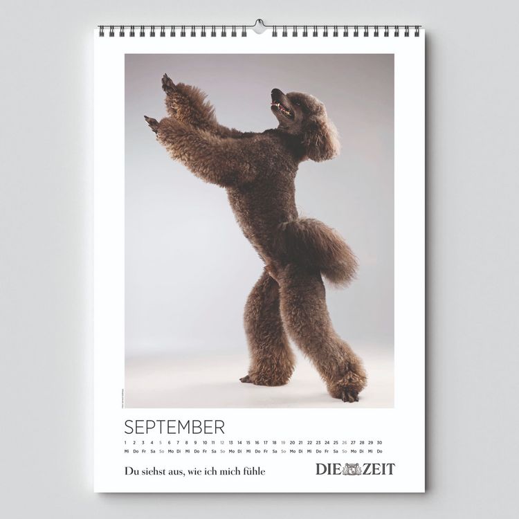 Produktbild: DIE ZEIT Kalender 2027
