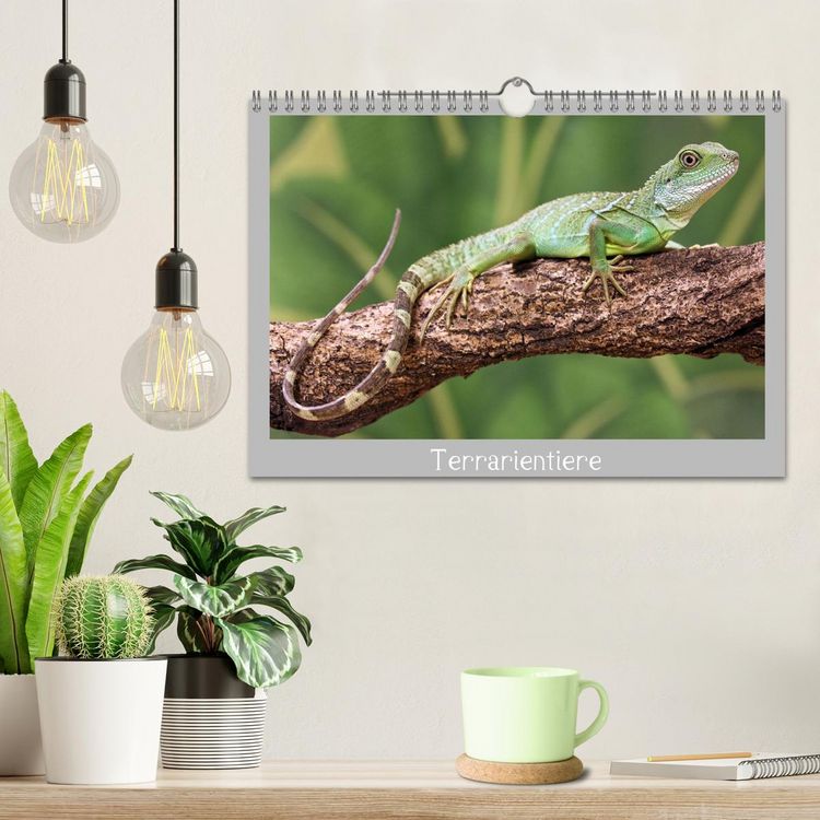 Produktbild: Terrarientiere (Wandkalender 2026 DIN A4 quer), CALVENDO Monatskalender