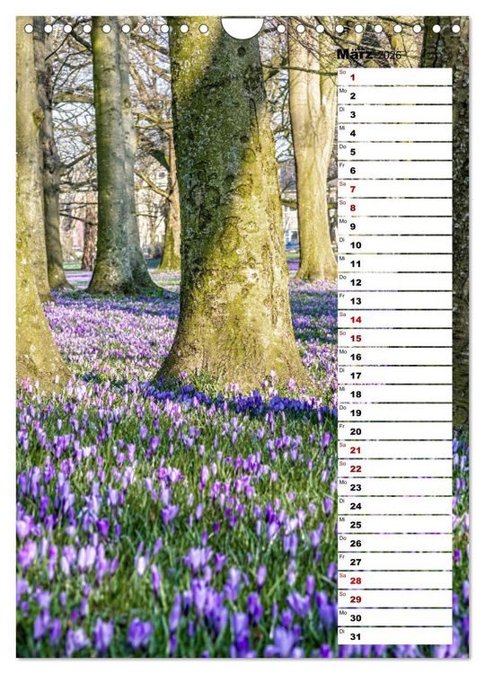 Produktbild: Westk&uuml;ste - Zwischen St. Peter Ording, B&uuml;sum und Elbe (Wandkalender 2026 DIN A4 hoch), CALVENDO Monatskalender