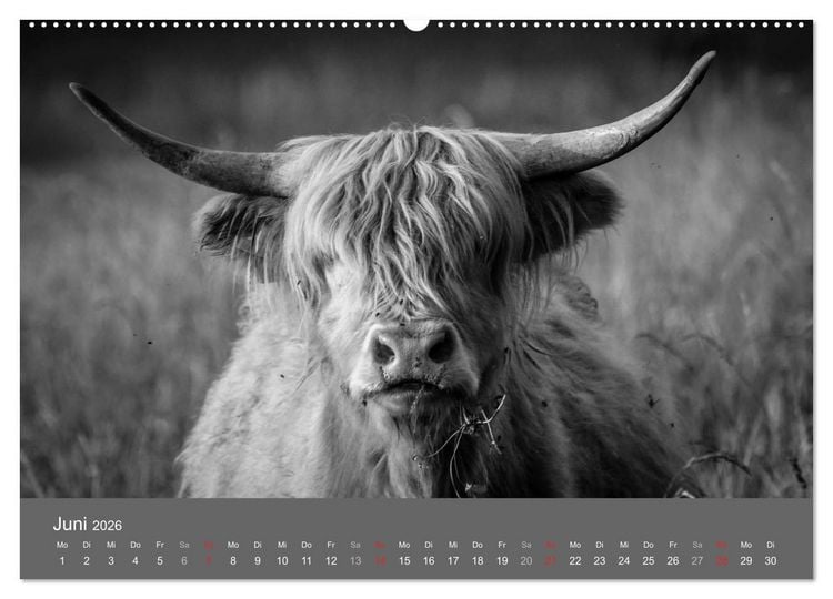 Produktbild: Tierische Augenblicke in Schwarz-Wei&szlig; (Wandkalender 2026 DIN A2 quer), CALVENDO Monatskalender