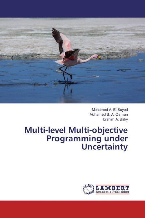 Produktbild: Multi-level Multi-objective Programming under Uncertainty