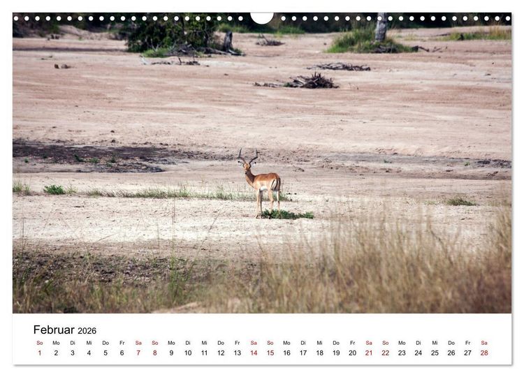 Produktbild: Sambia und der Sambesi (Wandkalender 2026 DIN A3 quer), CALVENDO Monatskalender