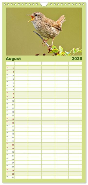 Produktbild: Familienplaner 2026 - Amsel, Fink und Star: Heimische V&ouml;gel mit 5 Spalten (Wandkalender, 21 x 45 cm) CALVENDO
