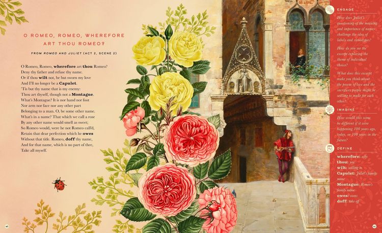 Produktbild: The Illustrated William Shakespeare: 25 Essential Poems