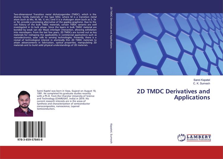 Produktbild: 2D TMDC Derivatives and Applications