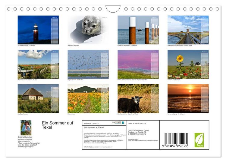 Produktbild: Ein Sommer auf Texel (Wandkalender 2026 DIN A4 quer), CALVENDO Monatskalender