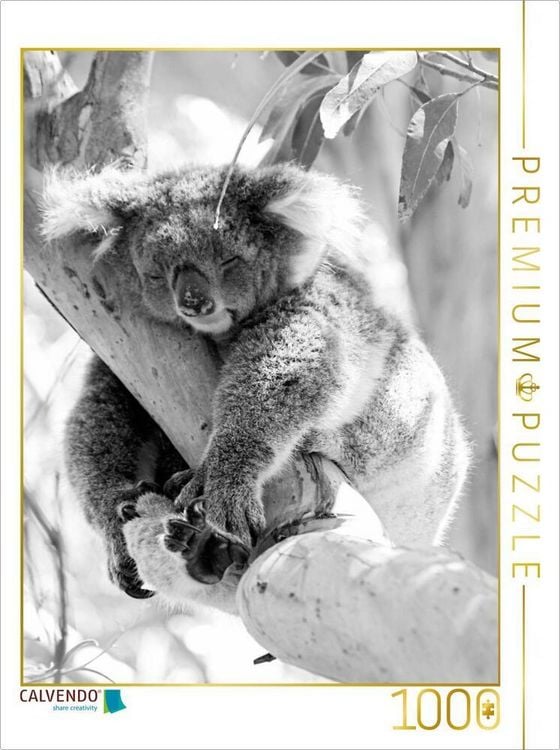 Produktbild: CALVENDO Puzzle Ein Motiv aus dem Kalender Koala Ein B&auml;r, der kein B&auml;r ist | 1000 Teile Lege-Gr&ouml;&szlig;e 64x48cm Foto-Puzzle f&uuml;r gl&uuml;ckliche Stunden