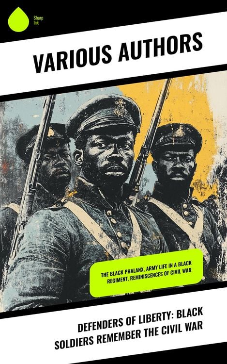 Produktbild: Defenders of Liberty: Black Soldiers Remember the Civil War