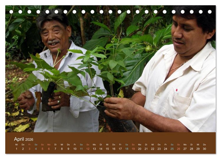 Produktbild: Maya in Yukatan 2026 (Tischkalender 2026 DIN A5 quer), CALVENDO Monatskalender