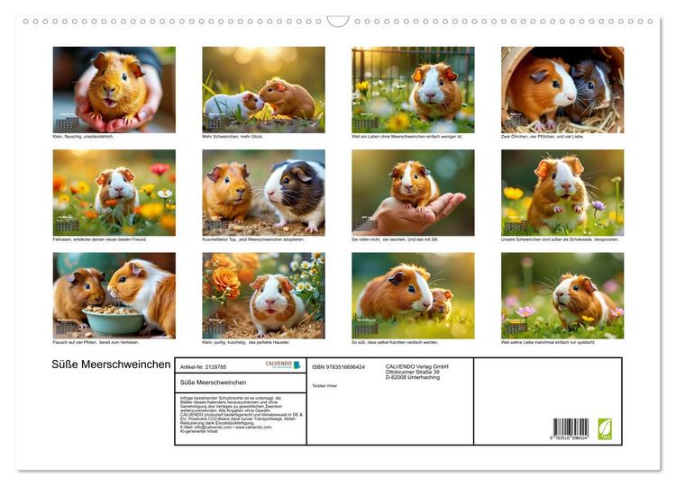 Produktbild: S&uuml;&szlig;e Meerschweinchen (Wandkalender 2026 DIN A2 quer), CALVENDO Monatskalender