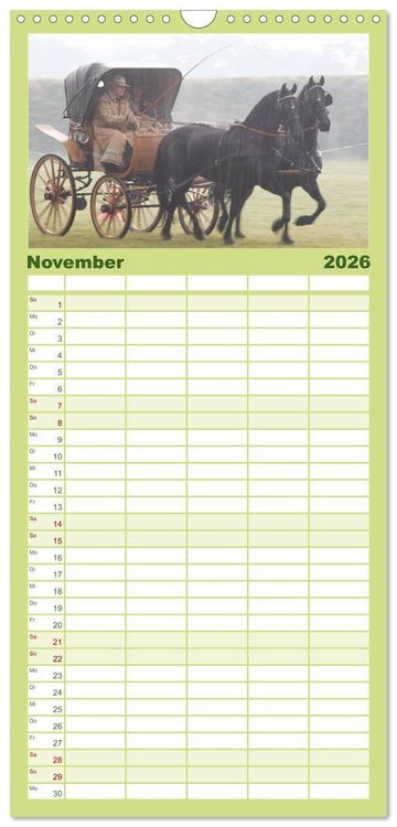 Produktbild: Familienplaner 2026 - CIAT - Historischer Fahrsport in Celle mit 5 Spalten (Wandkalender, 21 x 45 cm) CALVENDO