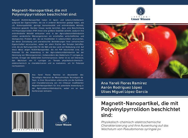 Produktbild: Magnetit-Nanopartikel, die mit Polyvinylpyrrolidon beschichtet sind: