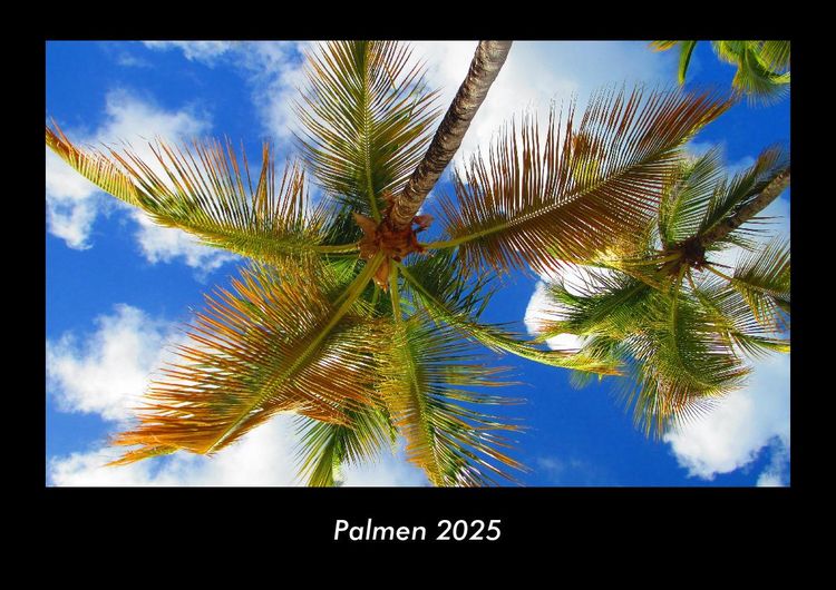 Produktbild: Palmen 2025 Fotokalender DIN A3
