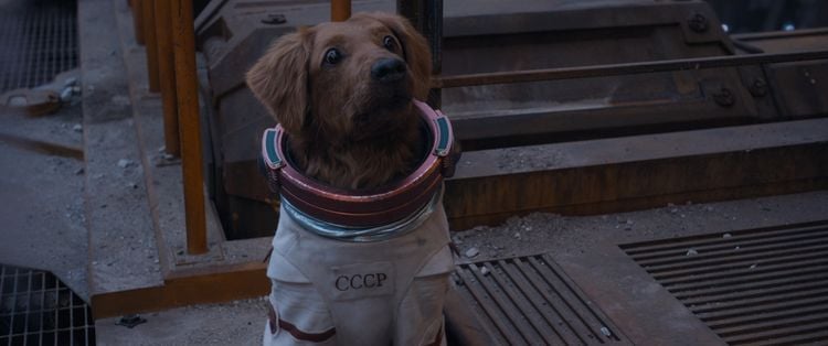Produktbild: Guardians of the Galaxy Vol. 3