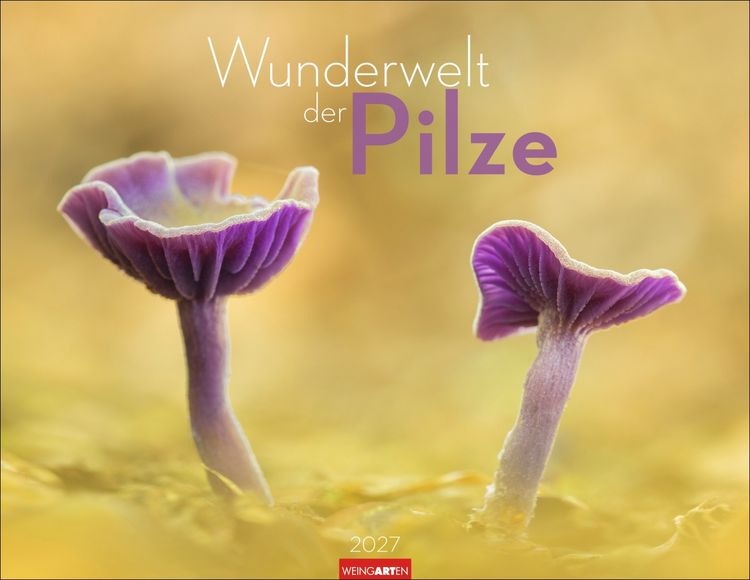 Produktbild: Wunderwelt der Pilze Kalender 2027