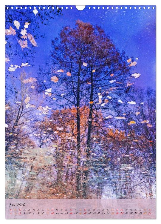 Produktbild: Wo der Wald tr&auml;umt (Wandkalender 2026 DIN A3 hoch), CALVENDO Monatskalender
