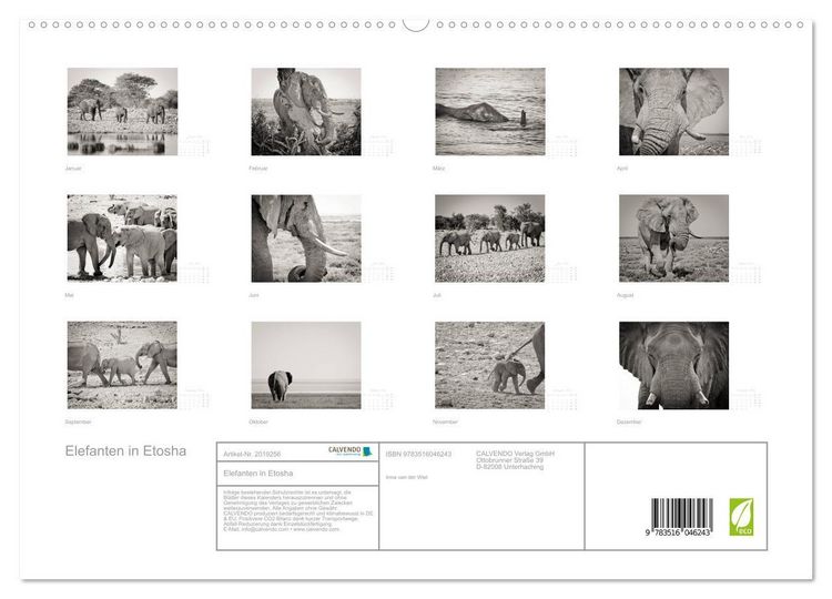 Produktbild: Elefanten in Etosha (hochwertiger Premium Wandkalender 2026 DIN A2 quer), Kunstdruck in Hochglanz