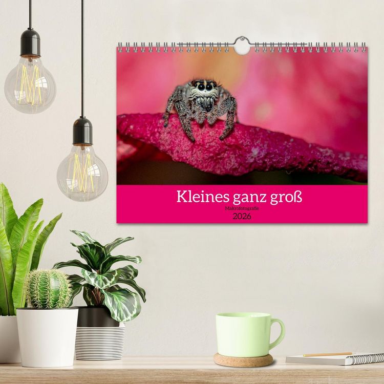 Produktbild: Kleines ganz gro&szlig; - Makrofotografie (Wandkalender 2026 DIN A4 quer), CALVENDO Monatskalender