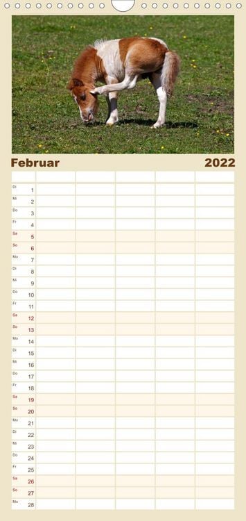 Produktbild: Familienplaner Pferde und Ponys im Paradies (Wandkalender 2022 , 21 cm x 45 cm, hoch)